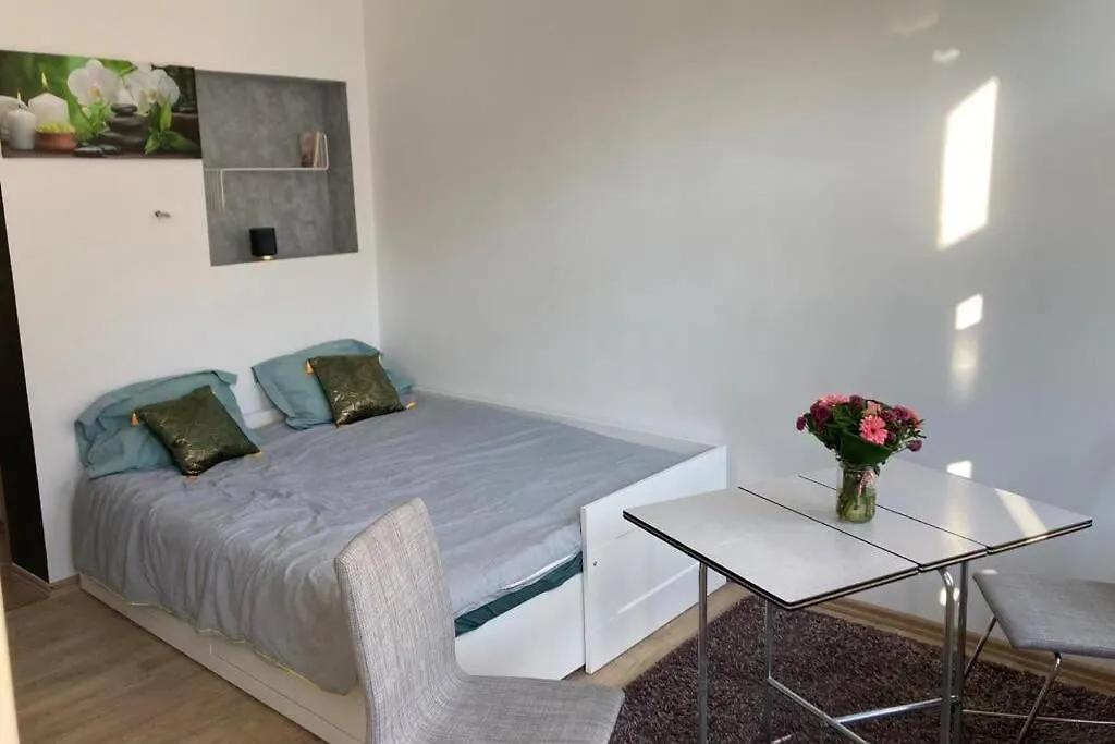 Apartment Magnifique Studio Au 2Eme Etage, A Proximite De La Gare Du Midi! Brussels